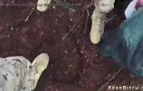 أخرج قضيبك الصغير من وجهي ، أيها اللعين القذر.