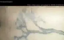 مذهلة الأبنوس يحب الحصول على مارس الجنس بجد وعميق، مع عدم وجود أي قيود محظورة.