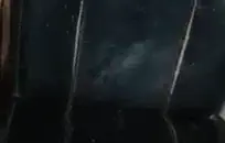 سكس نسو ا ن مع حيو ا نا ت