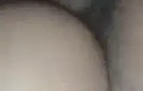 اكبر مكتبه سكس حيوانات في العالم