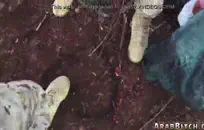 زوجتي المثيرة تحب ركوب دسار في المؤخرة.