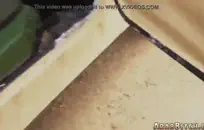 التليفزيون ذو المظهر الجاد هو كل الأعمال التجارية ، لكنه يتمتع بمؤخرة ساخنة