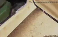 الفتاة الصغيرة بيانكا تستعرض سراويلها الداخلية حتى التنورة