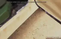 يحصل مساعد تنفيذي شاب على استغل من الصعب من قبل رئيسه في غرفة الاجتماعات.