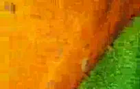 افلام سكس جديده سرقه الملابس الداخليه