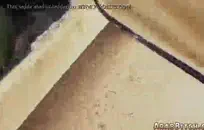 الاستمناء في غرفة نومي مع الأضواء ، ومشاهدة الأفلام الإباحية ونائب الرئيس