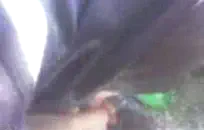 رجل ينيك مهره