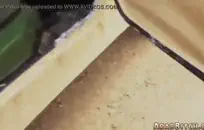 بالإصبع كس بلدي و كس بلدي الأكل.