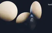 سكس مراهقات خنثاء