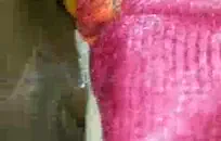 سكس روسي في الصباح