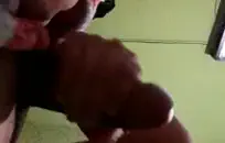 بورنو هولندي ريفي