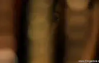 نيك متحرك مشوق سكس