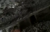 سأعطيك وظيفة اليد، وطفل رضيع