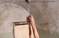 اثنين من الفراخ مع الحمير ضخمة