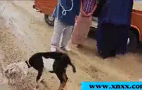 تنزل عليه أزورا بينما يأكل فمها. يطلق النار على حمولته في فمها وينتهون.