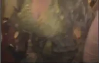 دب مشعر يلعب مع قضيبه ويتبول.